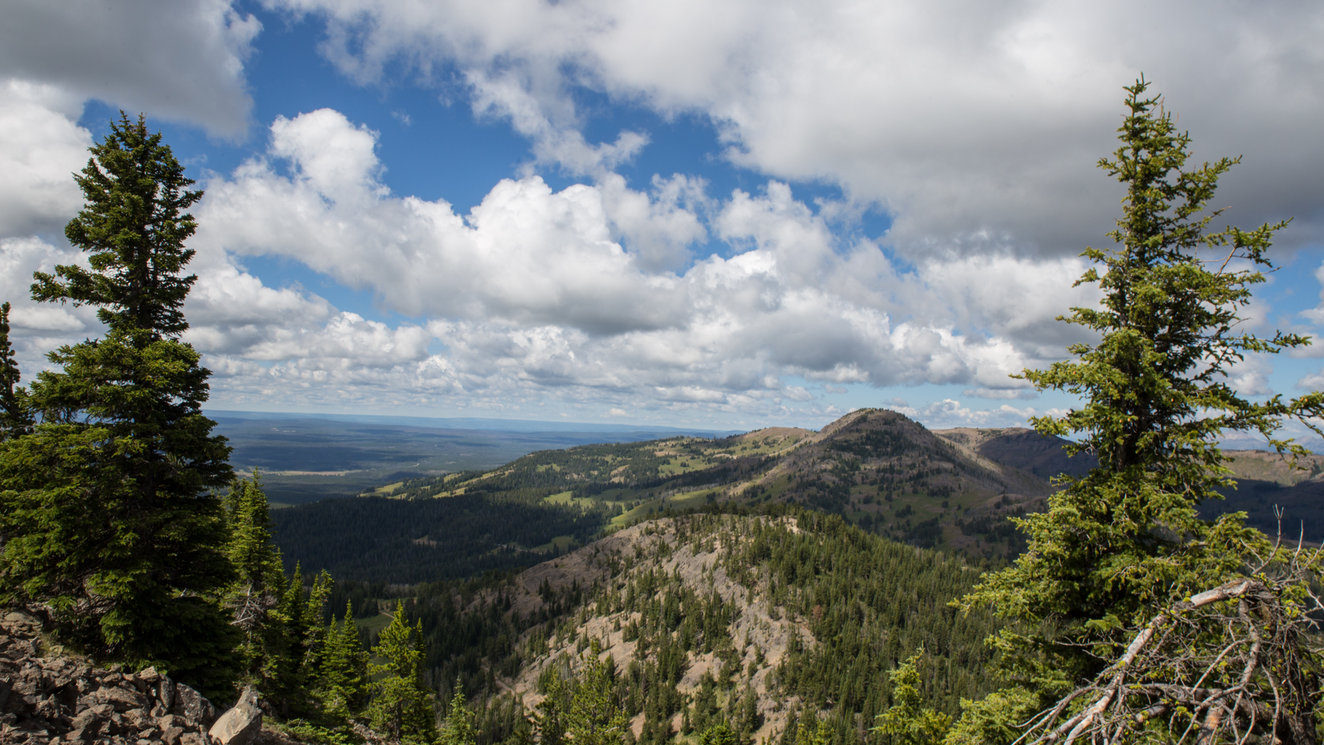 Slider Image 1