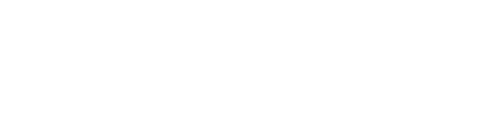 BSA Prepared for Life